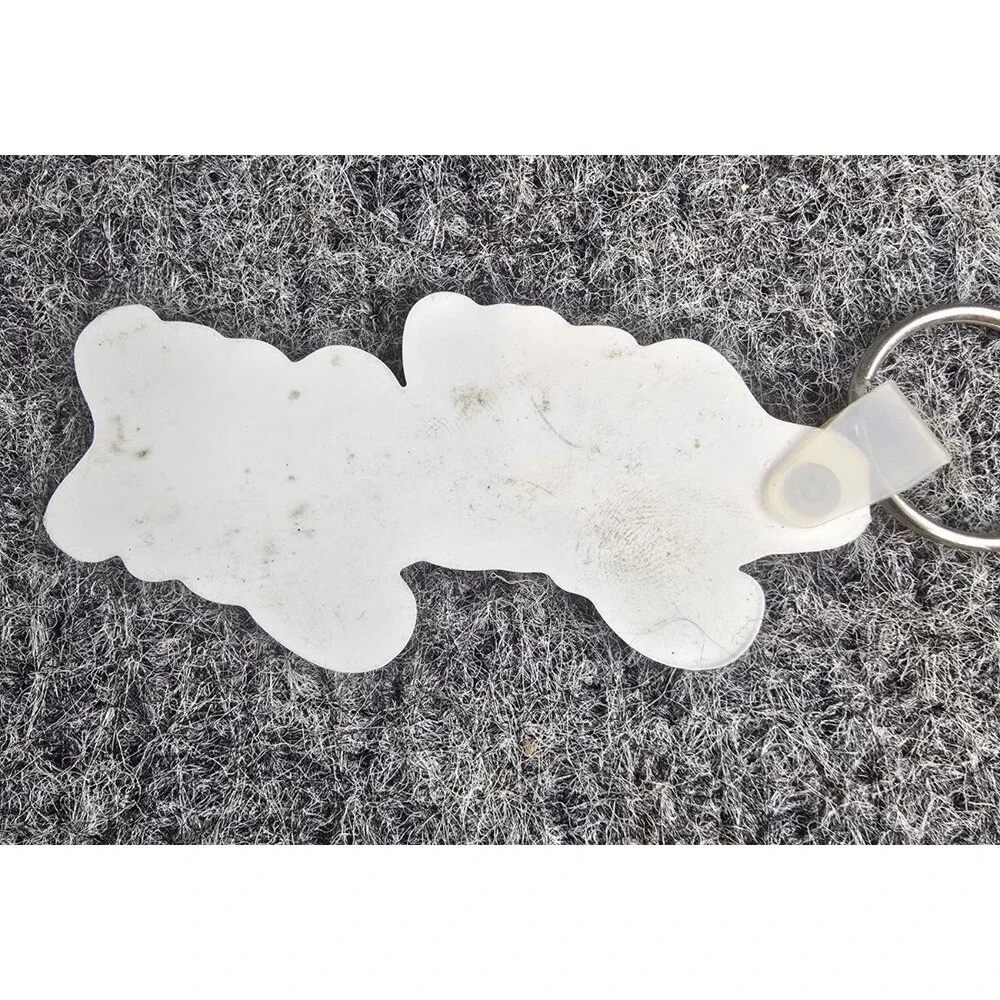 Vintage Keychain Sky Sox Minor League Rubber Blue Letter Spell Out